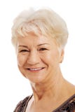 Porträt einer alten, älteren Dame. lizenzfreies stockbild Porträt einer alten, älteren Dame. lizenzfreies stockbild