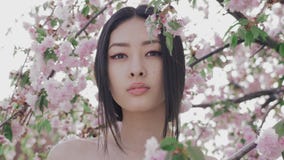 Porträt eines schönen asiatischen Mädchens draußen gegen Frühlingsblütenbaum stock video Porträt eines schönen asiatischen Mädchens draußen gegen Frühlingsblütenbaum stock video