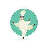 Pose praticando da ioga do lama bonito dos desenhos animados ilustração royalty free Pose praticando da ioga do lama bonito dos desenhos animados ilustração royalty free