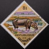 Postage Stamp. 1975. Republic of Guinea. Wild animals royalty free stock image Postage Stamp. 1975. Republic of Guinea. Wild animals royalty free stock image