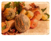 Postal con la calabaza imagen de archivo libre de regalías Postal con la calabaza imagen de archivo libre de regalías