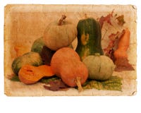 Postal con la calabaza libre illustration Postal con la calabaza libre illustration