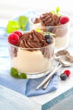 Postre con crema y bayas fotografía de archivo libre de regalías Postre con crema y bayas fotografía de archivo libre de regalías