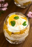 Postre helado hecho estallar de la quinoa, del yogur y del melocotón imagenes de archivo Postre helado hecho estallar de la quinoa, del yogur y del melocotón imagenes de archivo