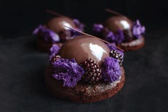 Postres esmaltados del chocolate y de la zarzamora con la esponja p?rpura de la microonda y bayas frescas en fondo negro del terc imagenes de archivo Postres esmaltados del chocolate y de la zarzamora con la esponja p?rpura de la microonda y bayas frescas en fondo negro del terc imagenes de archivo