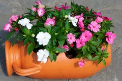 Pot of flowers stock photos Pot of flowers stock photos