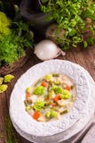 Potage aux légumes vert de chou-fleur Photographie stock libre de droits Potage aux légumes vert de chou-fleur Photographie stock libre de droits