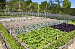 Potager muré Images stock Potager muré Images stock