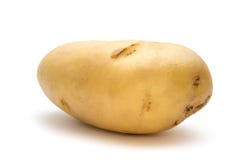 Potatis arkivfoton Potatis arkivfoton