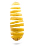 Potatis arkivfoto Potatis arkivfoto