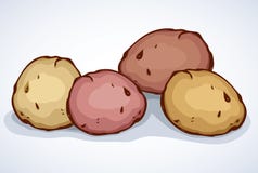 Potato Drawing Set. Vector Isolated Potatoes Heap, Sliced Pieces Stock