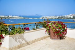 Potenciômetro de argila com as flores de florescência do gerânio em um terraço com opinião do mar fotografia de stock Potenciômetro de argila com as flores de florescência do gerânio em um terraço com opinião do mar fotografia de stock