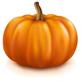 Potiron