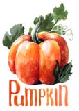 Potiron orange Aquarelle de dessin de main sur le fond blanc avec le titre illustration libre de droits Potiron orange Aquarelle de dessin de main sur le fond blanc avec le titre illustration libre de droits