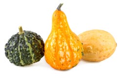 Potirons colorés divers des courges ornementales Photo stock Potirons colorés divers des courges ornementales Photo stock