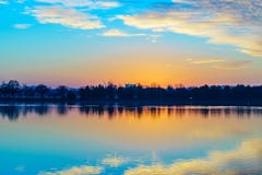 Potomac River Washington DCUSA solnedgång och träd royaltyfri foto Potomac River Washington DCUSA solnedgång och träd royaltyfri foto