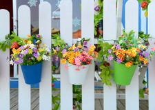 Pots de fleur accrochants photo stock Pots de fleur accrochants photo stock