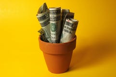 Potted Money Stock Photography