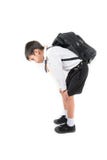 Pouco menino de escola que toma o saco pesado completamente dos livros sobre para trás imagens de stock royalty free Pouco menino de escola que toma o saco pesado completamente dos livros sobre para trás imagens de stock royalty free