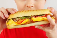 Pouco menino engraçado que come um cheeseburger grande no fim branco do fundo acima fotos de stock Pouco menino engraçado que come um cheeseburger grande no fim branco do fundo acima fotos de stock