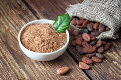Poudre de cacao et graines de cacao photo stock Poudre de cacao et graines de cacao photo stock