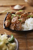 Poulet et riz dans le style asiatique images libres de droits Poulet et riz dans le style asiatique images libres de droits