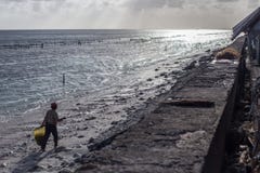 Poverty village woman picks up seaweed along the beach royalty free stock images Poverty village woman picks up seaweed along the beach royalty free stock images
