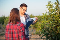 Poważni młodzi męscy, żeńscy agronomowie i obraz royalty free Poważni młodzi męscy, żeńscy agronomowie i obraz royalty free