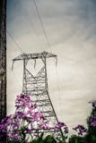 Power line in strom flower field. stock image Power line in strom flower field. stock image