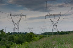 Power Line Tower Perspective in Green Field with Wild Purple Flowers stock images Power Line Tower Perspective in Green Field with Wild Purple Flowers stock images