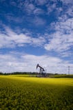 Pozzo di petrolio nel campo giallo immagine stock libera da diritti Pozzo di petrolio nel campo giallo immagine stock libera da diritti