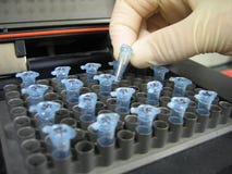 praca laboratoryjna praca laboratoryjna