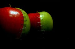 Frankenstine Apples - This is the Red Delicious Smith. royalty free stock photos Frankenstine Apples - This is the Red Delicious Smith. royalty free stock photos