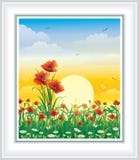Prado del verano con las amapolas y las margaritas stock de ilustración Prado del verano con las amapolas y las margaritas stock de ilustración