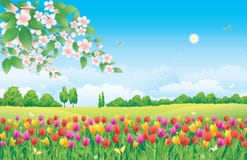 Prado floral. Tulipanes libre illustration Prado floral. Tulipanes libre illustration