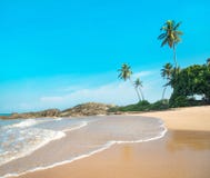 Praia do oceano contra a rocha e palmas no dia ensolarado Imagem de Stock Praia do oceano contra a rocha e palmas no dia ensolarado Imagem de Stock