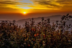 Prairies sur le lever de soleil Image stock Prairies sur le lever de soleil Image stock