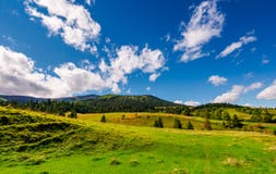 Prati erbosi e colline boscose immagine stock libera da diritti Prati erbosi e colline boscose immagine stock libera da diritti