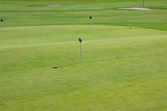 Pratica verde di golf per mettere la bandiera del foro con il numero immagine stock Pratica verde di golf per mettere la bandiera del foro con il numero immagine stock