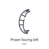 Prawn facing left icon from nautical outline collection. Thin line prawn facing left icon isolated on white background royalty free illustration Prawn facing left icon from nautical outline collection. Thin line prawn facing left icon isolated on white background royalty free illustration