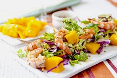 Prawn Salad Stock Images