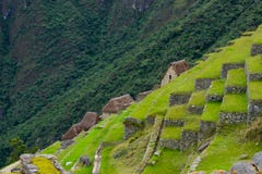 Pre comlombian город, потерянный город, Machu Picchu, Перу, 02/08/2019 стоковые изображения rf Pre comlombian город, потерянный город, Machu Picchu, Перу, 02/08/2019 стоковые изображения rf