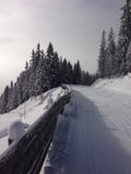 Precipitazioni nevose, ustria di area di Der Dachstein, skilslope di Ramsau Immagini Stock Precipitazioni nevose, ustria di area di Der Dachstein, skilslope di Ramsau Immagini Stock
