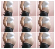 Pregnancy Step by Step Stock Photo Pregnancy Step by Step Stock Photo