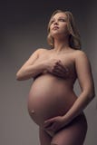 Pregnant Naked Blonde Cropped Portrait Royalty Free Stock Photo Pregnant Naked Blonde Cropped Portrait Royalty Free Stock Photo