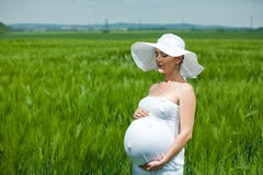 Pregnant Woman Stock Photos