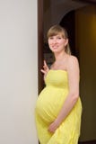 Pregnant Woman Stock Photos