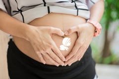 Pregnant Woman holding her hands in heart shape Pregnant Belly with fingers Heart symbol. royalty free stock photos Pregnant Woman holding her hands in heart shape Pregnant Belly with fingers Heart symbol. royalty free stock photos