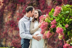 A pregnant young woman and her husband. A happy family standing at the red autumn hedge, smelling a flower hydrangea. pregnant royalty free stock photography A pregnant young woman and her husband. A happy family standing at the red autumn hedge, smelling a flower hydrangea. pregnant royalty free stock photography