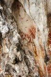 Prehistoric petroglyph rock paintings in Raja Ampat, West Papua, Indonesia
